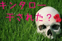 5667035358_e9179d101e